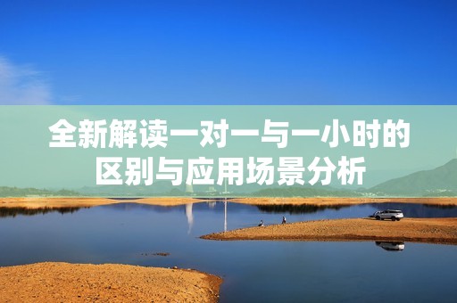 全新解读一对一与一小时的区别与应用场景分析