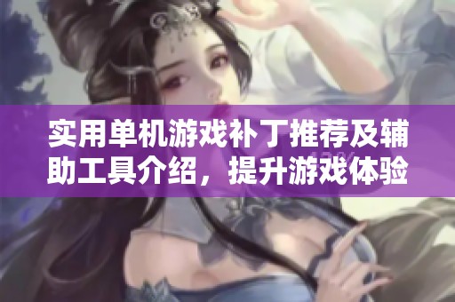 实用单机游戏补丁推荐及辅助工具介绍，提升游戏体验必备选择