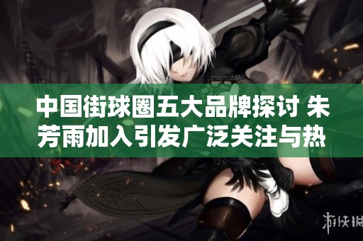 中国街球圈五大品牌探讨 朱芳雨加入引发广泛关注与热议
