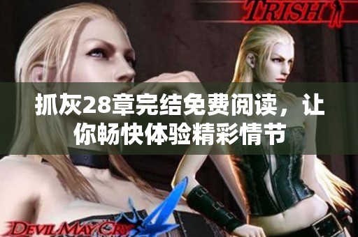 抓灰28章完结免费阅读，让你畅快体验精彩情节
