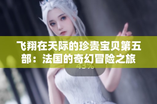 飞翔在天际的珍贵宝贝第五部：法国的奇幻冒险之旅