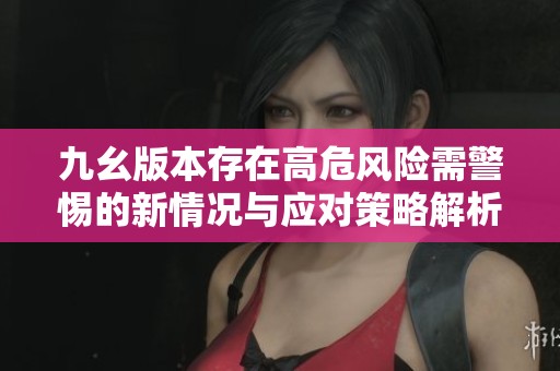 九幺版本存在高危风险需警惕的新情况与应对策略解析