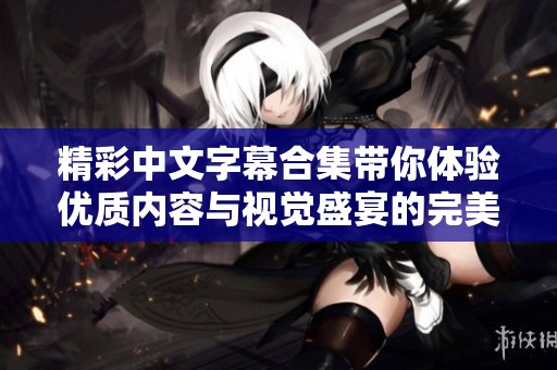 精彩中文字幕合集带你体验优质内容与视觉盛宴的完美结合