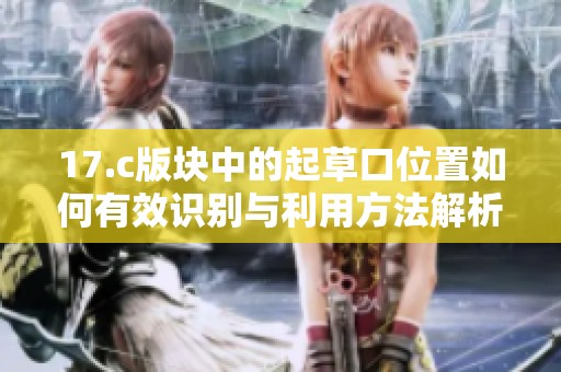 17.c版块中的起草口位置如何有效识别与利用方法解析