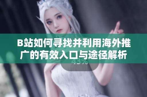 B站如何寻找并利用海外推广的有效入口与途径解析