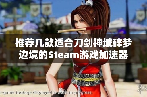 推荐几款适合刀剑神域碎梦边境的Steam游戏加速器