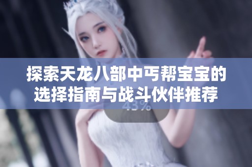探索天龙八部中丐帮宝宝的选择指南与战斗伙伴推荐