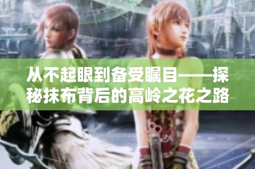 从不起眼到备受瞩目——探秘抹布背后的高岭之花之路