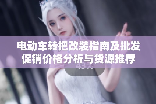 电动车转把改装指南及批发促销价格分析与货源推荐