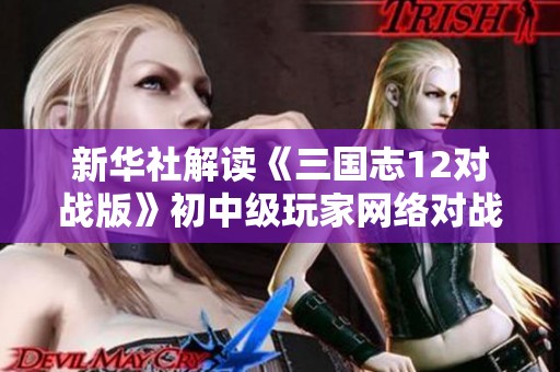 新华社解读《三国志12对战版》初中级玩家网络对战技巧与策略