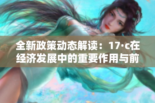 全新政策动态解读：17·c在经济发展中的重要作用与前景分析