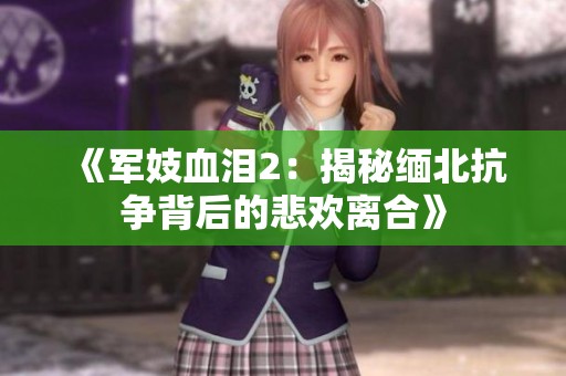 《军妓血泪2：揭秘缅北抗争背后的悲欢离合》