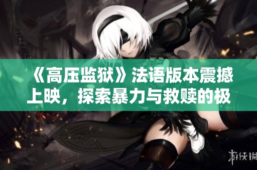 《高压监狱》法语版本震撼上映，探索暴力与救赎的极致较量