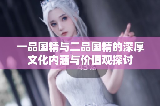 一品国精与二品国精的深厚文化内涵与价值观探讨