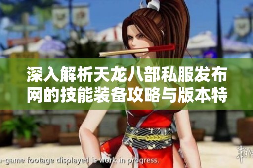 深入解析天龙八部私服发布网的技能装备攻略与版本特性