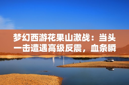 梦幻西游花果山激战：当头一击遭遇高级反震，血条瞬间消失！