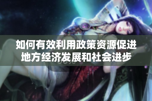 如何有效利用政策资源促进地方经济发展和社会进步