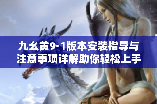 九幺黄9·1版本安装指导与注意事项详解助你轻松上手
