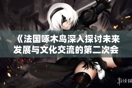 《法国啄木鸟深入探讨未来发展与文化交流的第二次会议》