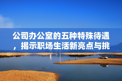 公司办公室的五种特殊待遇，揭示职场生活新亮点与挑战