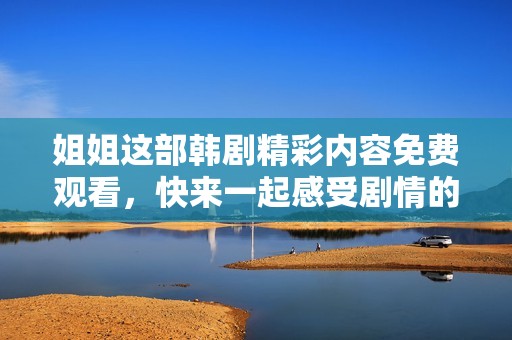 姐姐这部韩剧精彩内容免费观看，快来一起感受剧情的魅力与情感冲突吧