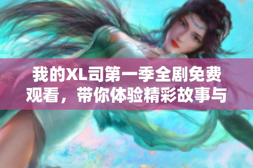 我的XL司第一季全剧免费观看，带你体验精彩故事与人物魅力
