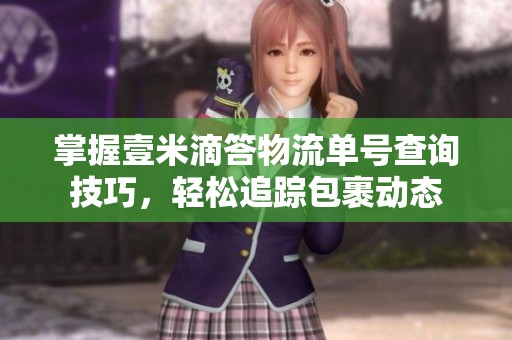 掌握壹米滴答物流单号查询技巧，轻松追踪包裹动态