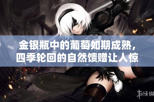 金银瓶中的葡萄如期成熟，四季轮回的自然馈赠让人惊喜
