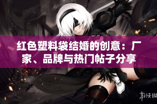 红色塑料袋结婚的创意：厂家、品牌与热门帖子分享