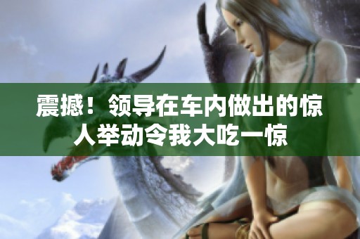 震撼！领导在车内做出的惊人举动令我大吃一惊