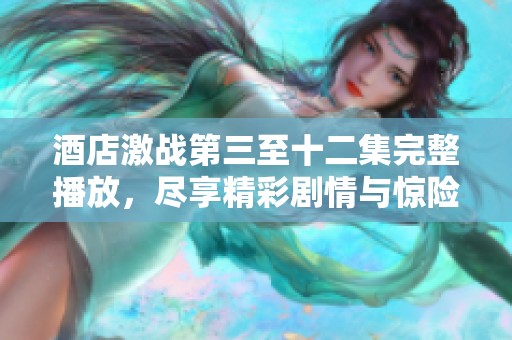 酒店激战第三至十二集完整播放，尽享精彩剧情与惊险时刻