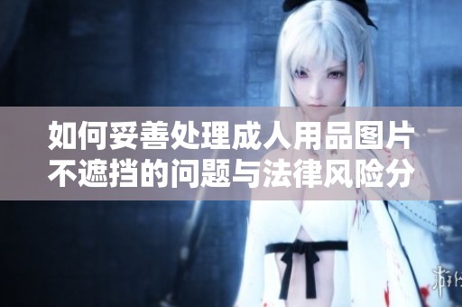 如何妥善处理成人用品图片不遮挡的问题与法律风险分析