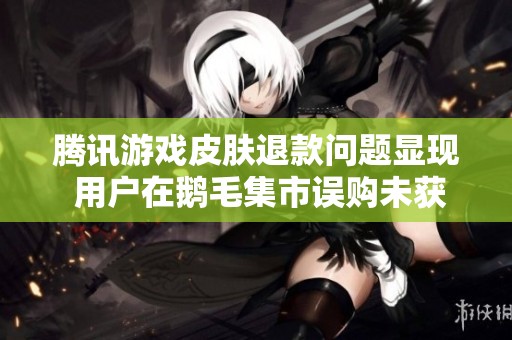 腾讯游戏皮肤退款问题显现 用户在鹅毛集市误购未获解决