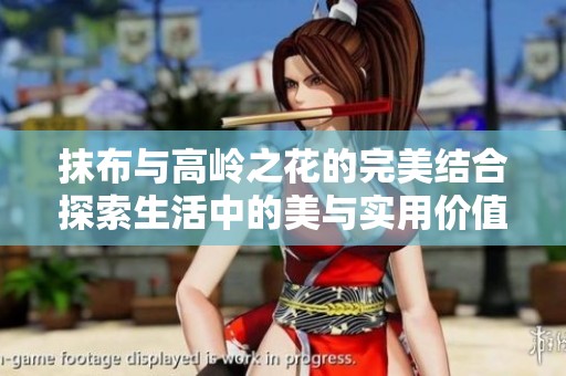 抹布与高岭之花的完美结合探索生活中的美与实用价值