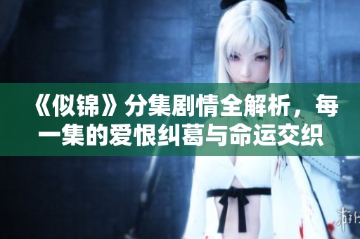 《似锦》分集剧情全解析，每一集的爱恨纠葛与命运交织揭秘