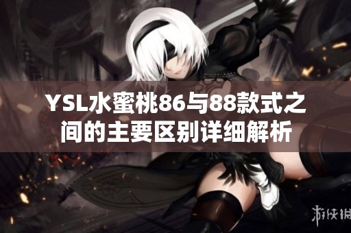 YSL水蜜桃86与88款式之间的主要区别详细解析