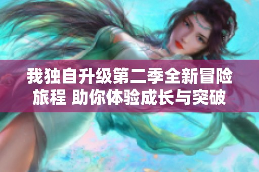 我独自升级第二季全新冒险旅程 助你体验成长与突破