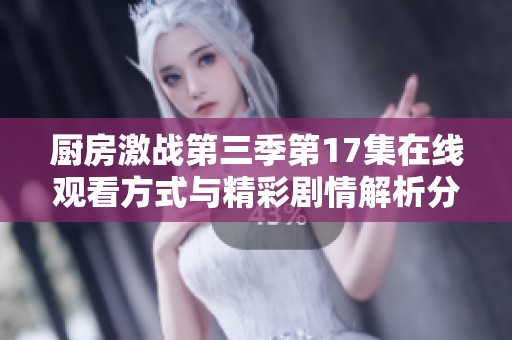 厨房激战第三季第17集在线观看方式与精彩剧情解析分享