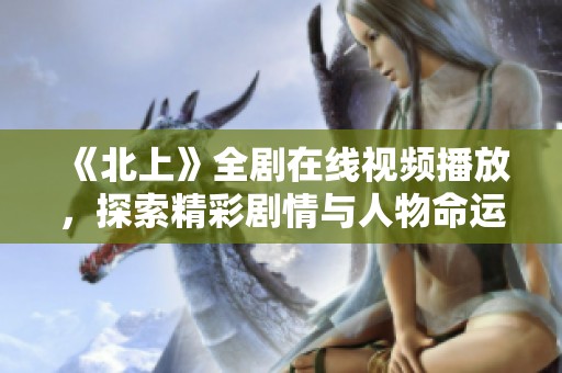 《北上》全剧在线视频播放，探索精彩剧情与人物命运的旅程
