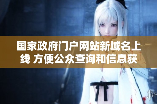 国家政府门户网站新域名上线 方便公众查询和信息获取