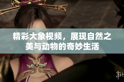 精彩大象视频，展现自然之美与动物的奇妙生活
