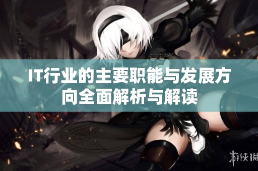 IT行业的主要职能与发展方向全面解析与解读
