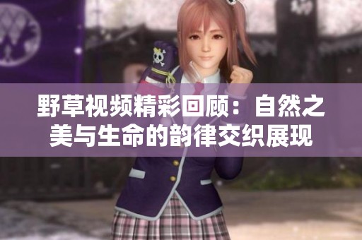 野草视频精彩回顾：自然之美与生命的韵律交织展现