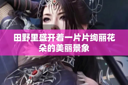 田野里盛开着一片片绚丽花朵的美丽景象