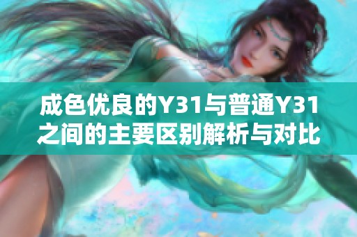 成色优良的Y31与普通Y31之间的主要区别解析与对比分析